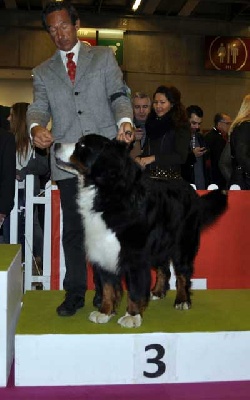 Du Chemin De La Morelie - CONCOURS GENERAL AGRICOLE 2013